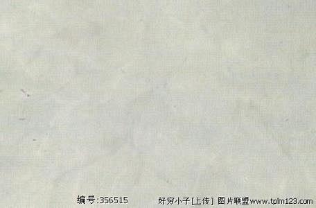 地砖贴图_百度图片搜索