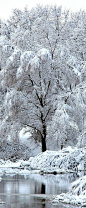 snow making lace ornament