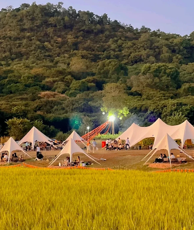 农文旅‖稻田的艺术分享-花瓣网