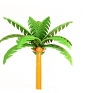 椰子树叶子png (2)