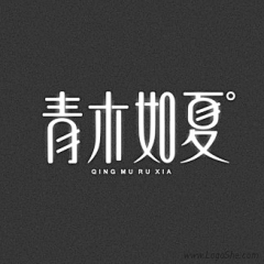 庄儿zhuang采集到字体设计