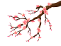 春季鲜花桃花绿叶手绘元素_PNG：