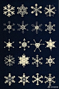 Amer于1863年绘制的《Snowflakes》
各种雪花的样子❄️❄️❄️ ​ ​​​​
