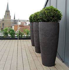 Box planters on roof...