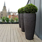 Box planters on roof terrace