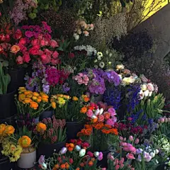 朋友圈背景图 - 堆糖，美图壁纸兴趣社区