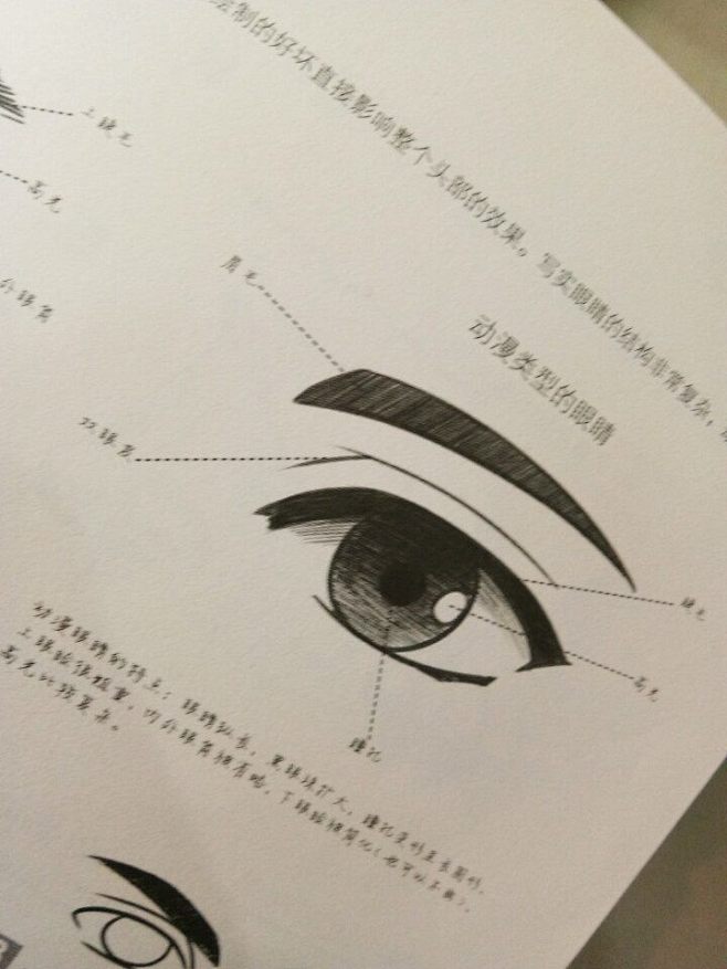 一些素材，我拿着不常用✨-兴趣部落