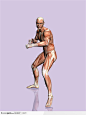 人体肌肉骨骼-格斗的男性侧面