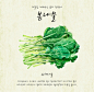 油菜小白菜 可口菜蔬 手绘蔬菜 菜蔬插图插画设计PSD