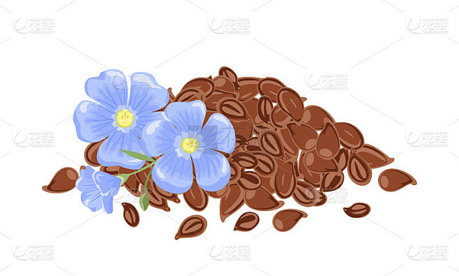 一堆亚麻籽和孤立在白色背景上的蓝色花朵。矢量插图在卡通平面风格。
