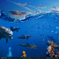海水下的海豚和其他生物