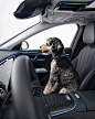Mercedes-Benz MBUX BRK ASSIST :: Behance
