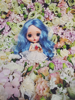 小莹妹子采集到【【Blythe】】