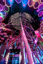 Doha Oasis Quest