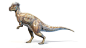 3D dinosaurs dinopack xl https://p.turbosquid.com/ts-thumb/pj/YsJP9e/Co/14_dinopackxlriggedset_2000x2000px/jpg/1612794727/1920x1080/fit_q87/37b560875d15df4057a2a1a746e5aaba4b15841a/14_dinopackxlriggedset_2000x2000px.jpg