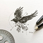 菲律宾画家 Kerby Rosanes 几何图形与动物融合插画Geometrica tattoo一半几何一半动物手绘图老鹰纹身素材