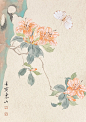 没骨杜鹃花与蝴蝶_1_国画段东梁（招生）_来自小红书网页版
