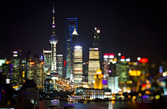 要做一棵树采集到Travel