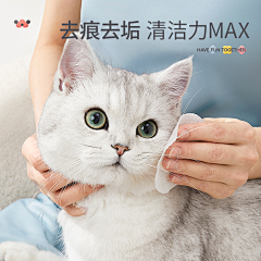 碰巧ᑋᵉᑊᑊᵒ采集到宠物