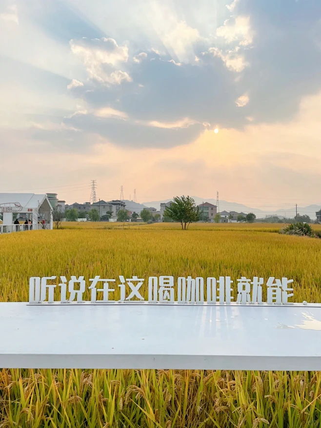杭州遛娃 | 超大片治愈系金秋稻田