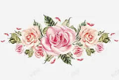 手绘粉色玫瑰花簇 玫瑰捧花 玫瑰花束 玫瑰花瓣 元素 免抠png 设计图片 免费下载 页面网页 平面电商 创意素材