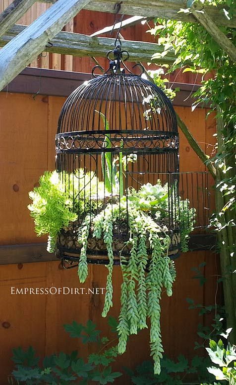 Free a birdcage! Pla...