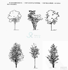 喵喵喵的鱼采集到绘画-建筑速写类