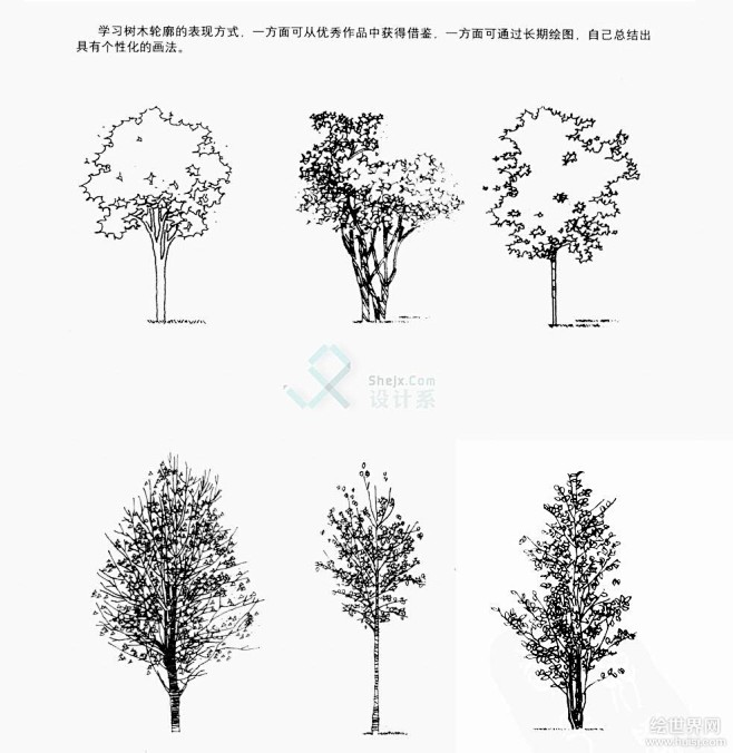 手绘学习方案、 手绘植物单体线稿的画法、...