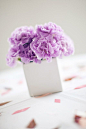 purple carnations.