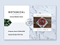 Botanical Social Media Pack 最小的热带社交媒体帖子