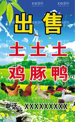 出售土鸡  - 源文件下载【酷图网】土鸡,散养鸡,散养土鸡,出售散养土鸡,土鸭,土豚设计,广告设计,海报设计,PS,
