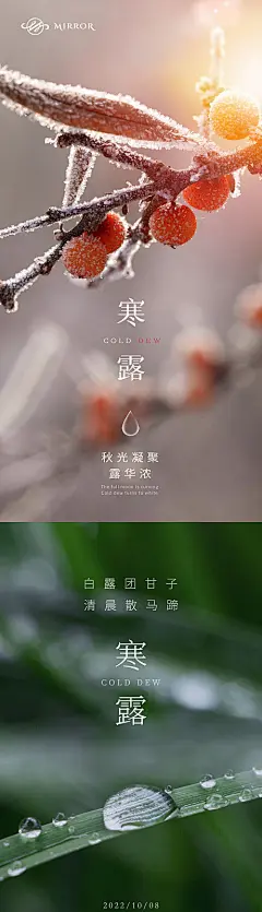 海报 房地产 二十四节气 寒露 露水 露珠 