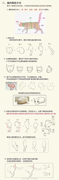 用户Jr14yDmz采集到动物