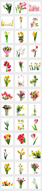  卡通手绘郁金香花卉花朵教师节母亲节鲜花 位图, RGB格式高清大图， 使用软件为 Photoshop CC(.png) 卡通郁金香 郁金香图片 郁金香素材 郁金香背景 卡通花卉 花卉背景 植物花卉 唯美花卉 白色郁金香 郁金香花海 黄色郁金香 荷兰郁金香 郁金香花瓣 紫色郁金香 卡通背景 花卉 手绘花卉 花朵 手绘花朵 鲜花 手绘卡通 手绘郁金香 教师节 花卉花朵 卡通手绘 花卉手绘