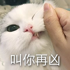 杳·然采集到Emoticon/表情包