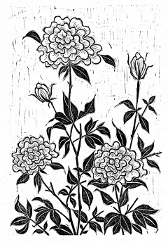 坐在树上啦啦啦采集到美妙的画画画
