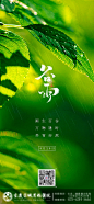 谷雨