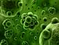 人体细胞细菌等生物高清图片 - 素材中国16素材网