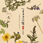夏目友人帐叁_百度百科