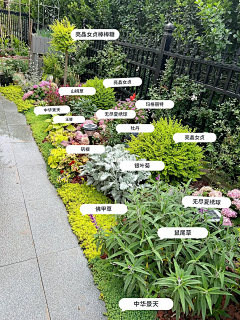 波力力的海苔采集到植物配置