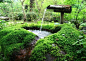庭院惊鹿，让水流与禅心共存 : 惊鹿為日本园林中一竹制小品名，利用杠桿原理，當竹筒上部注滿水后，自然下垂倒空筒中水。