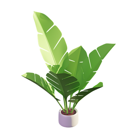 Banana Leaf 3D