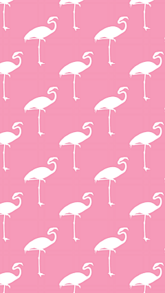 北谷町采集到Flamingos