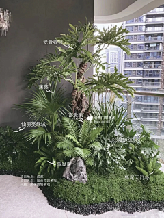 成为温暖的光采集到植物配置-阴生花镜