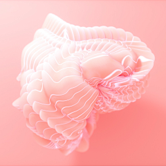 皇瓜菌采集到Octane