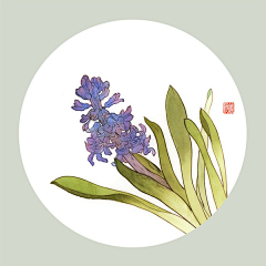 Jin·oо金金采集到朝花夕拾