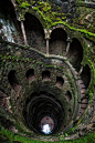 An overgrown spiral staircase