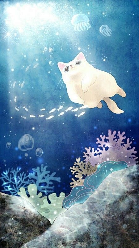猫咪 插画 
