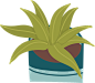 夏天绿色盆栽植物PNG免扣图