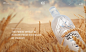 Vodka Montblanc website
